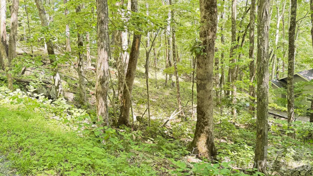TBD Greencove Drive Seven Devils, NC 28604