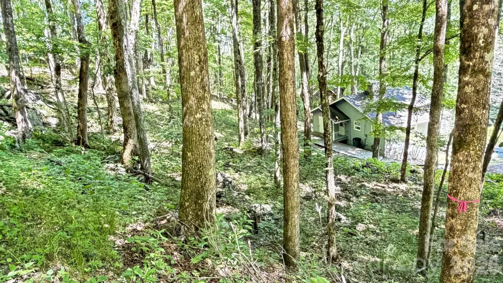 TBD Greencove Drive Seven Devils, NC 28604
