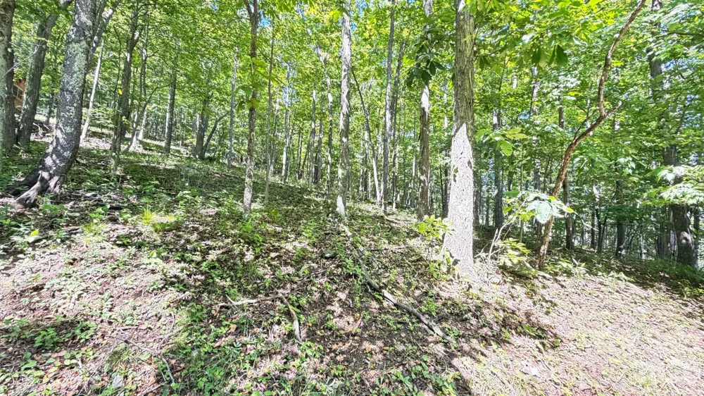 TBD Greencove Drive Seven Devils, NC 28604