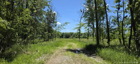 8250 14 Mile Road NE