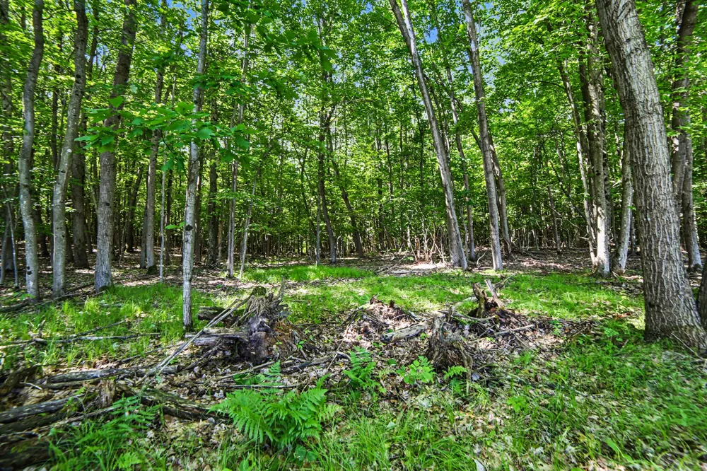 2015 S 176th Avenue Hesperia, MI 49421