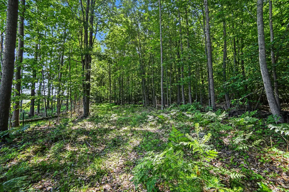2015 S 176th Avenue Hesperia, MI 49421