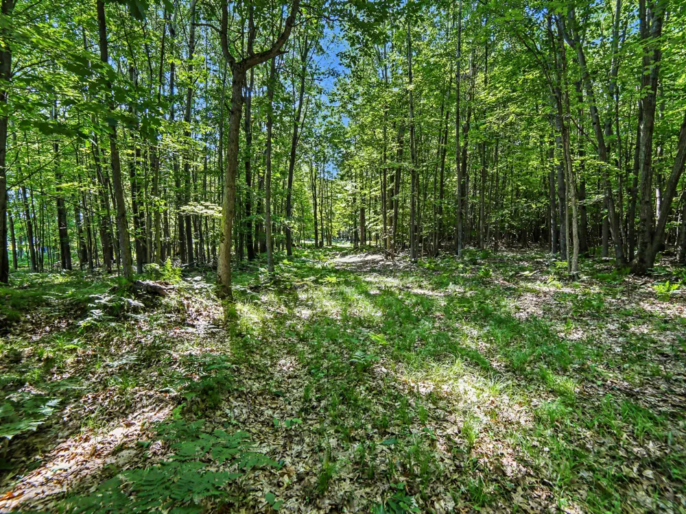 2015 S 176th Avenue Hesperia, MI 49421