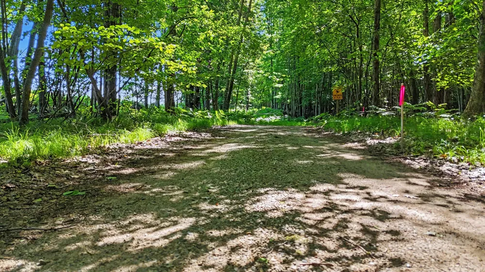 2015 S 176th Avenue Hesperia, MI 49421