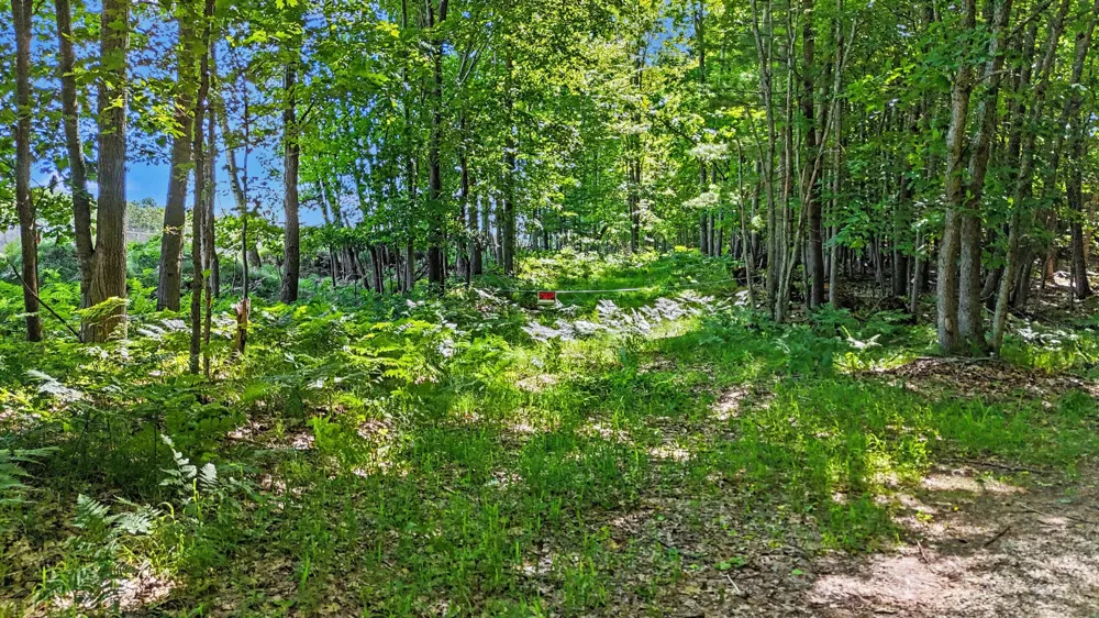 2015 S 176th Avenue Hesperia, MI 49421
