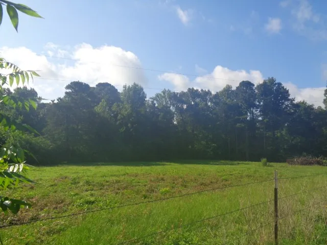County Road 4568 Quitman, TX 75494