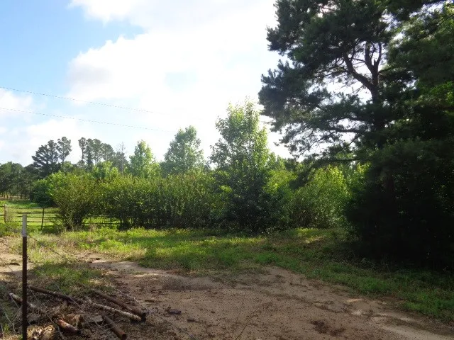 County Road 4568 Quitman, TX 75494
