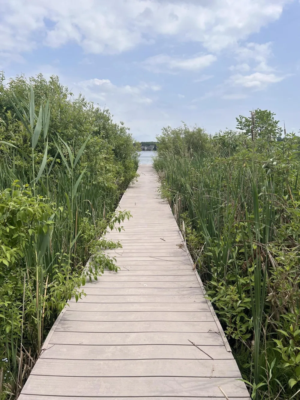 3010 Loon Lake Shores Road Waterford, MI 48329