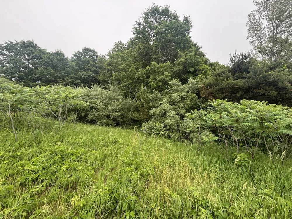2 Ironwood Drive Ludington, MI 49431