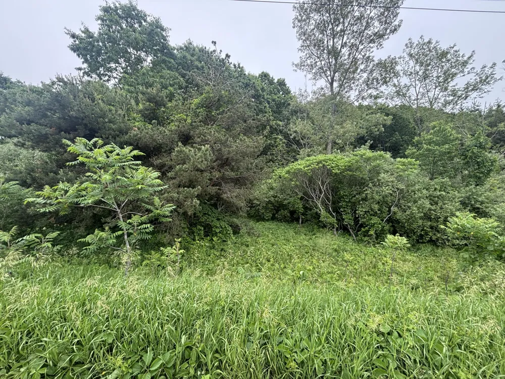 2 Ironwood Drive Ludington, MI 49431