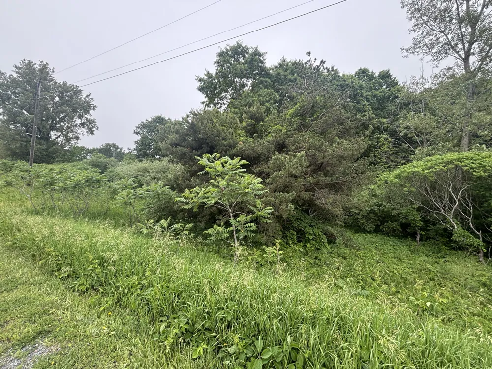 2 Ironwood Drive Ludington, MI 49431