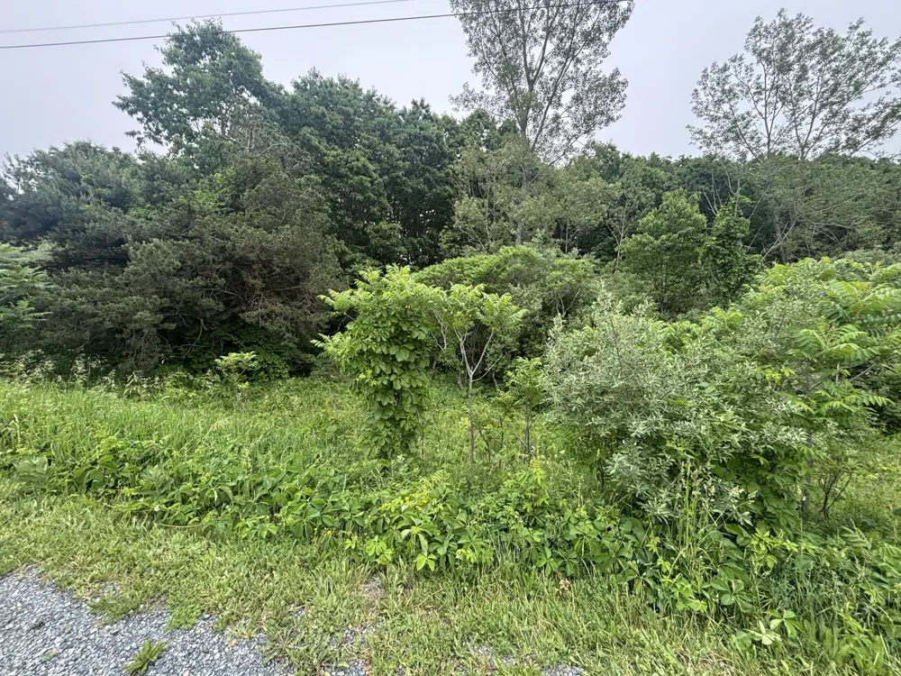 2 Ironwood Drive Ludington, MI 49431