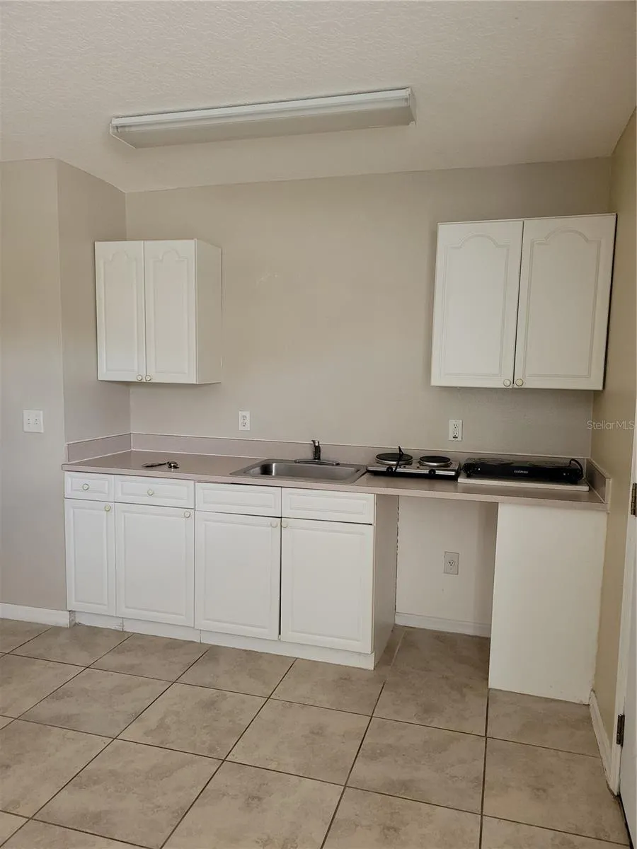 1325 WASHINGTON PALM LOOP Davenport, FL 33897