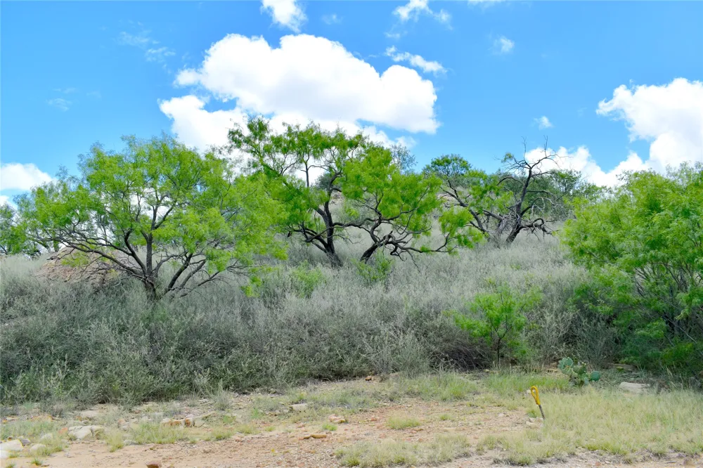 E FM 576 Breckenridge, TX 76434