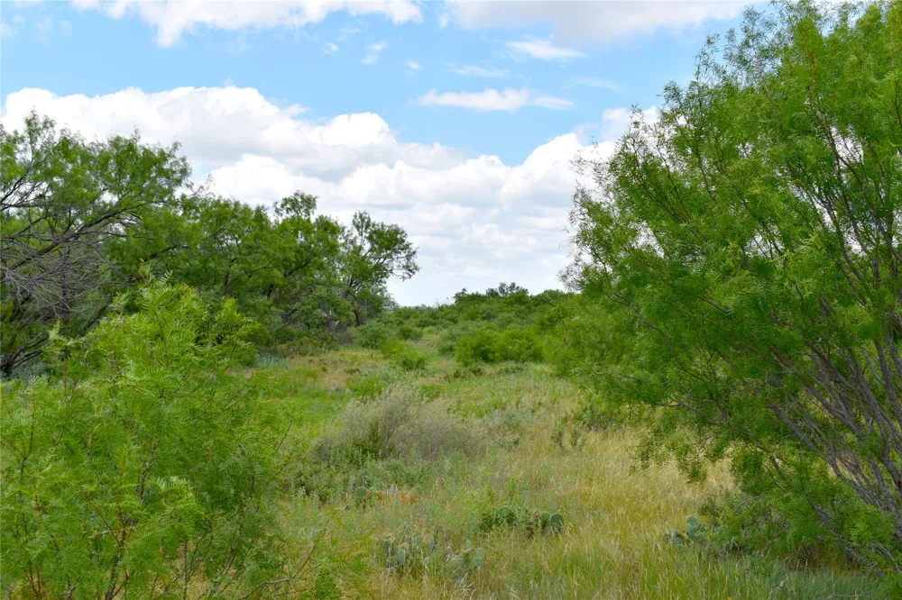E FM 576 Breckenridge, TX 76434