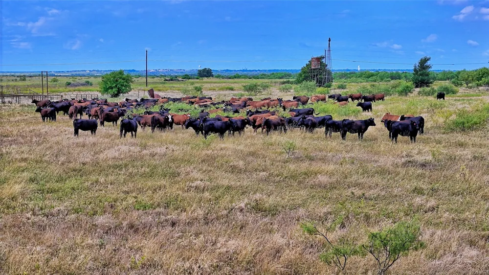 576 Seabourn Road Henrietta, TX 76365
