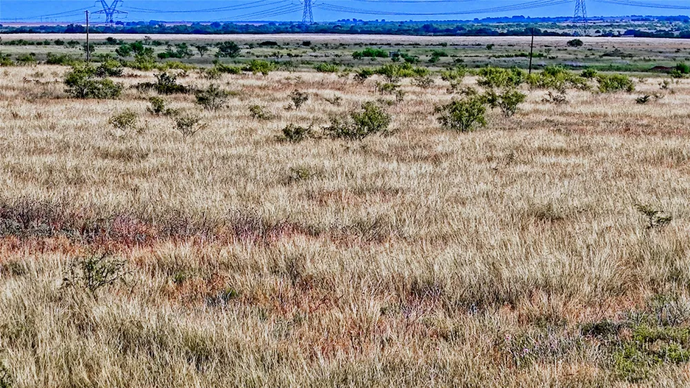 576 Seabourn Road Henrietta, TX 76365