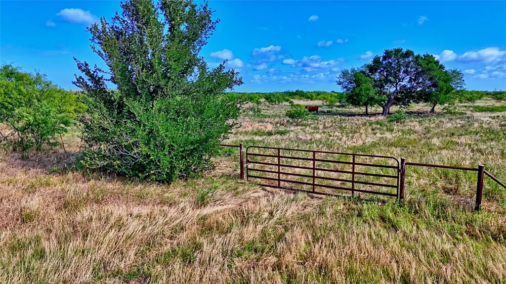 576 Seabourn Road Henrietta, TX 76365