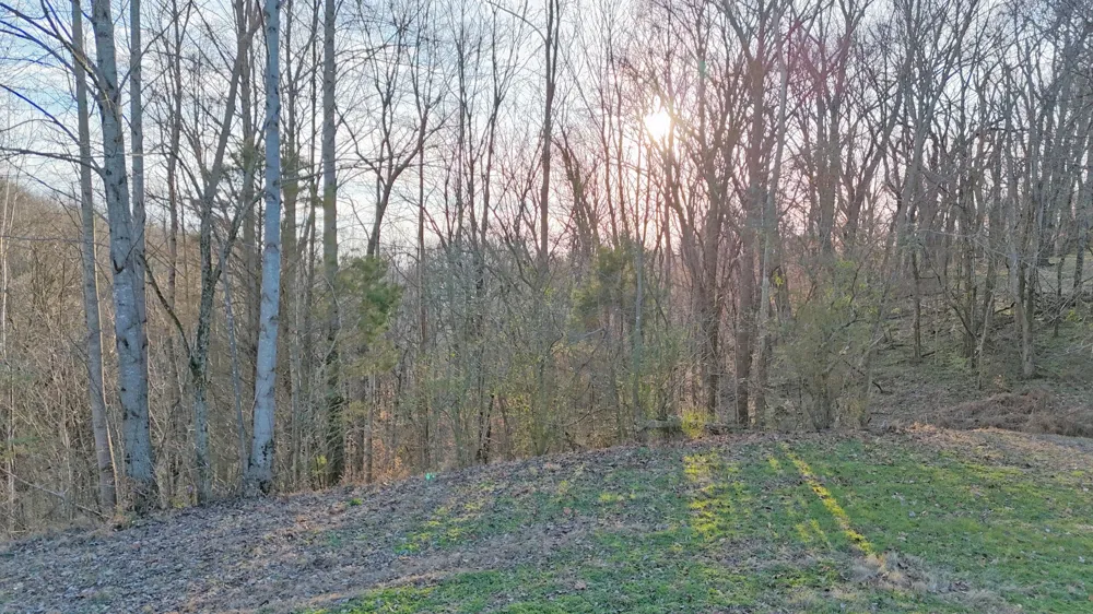 0 New Highway 7 Columbia, TN 38401