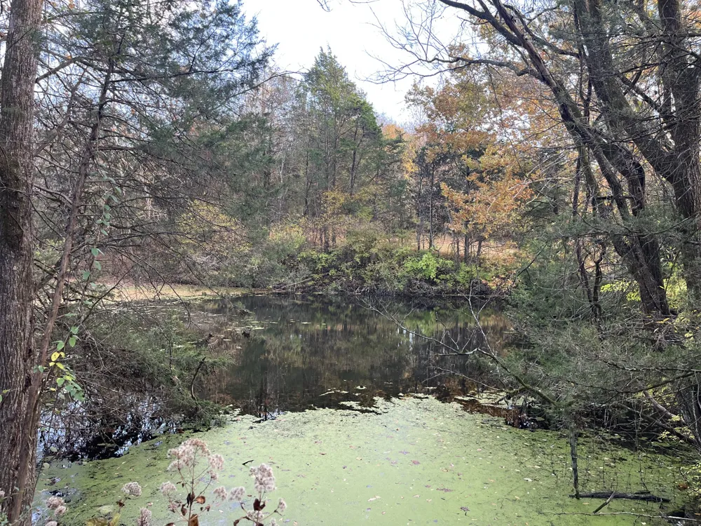 0 Preakness Place Lebanon, TN 37090
