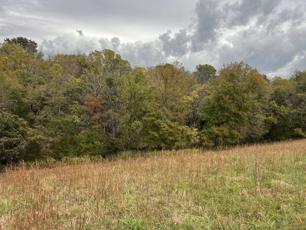 0 Preakness Place Lebanon, TN 37090
