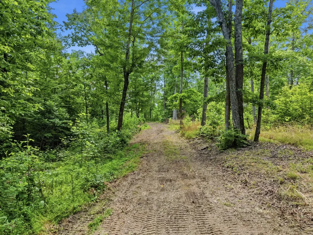 0 Backbone Road Sparta, TN 38583