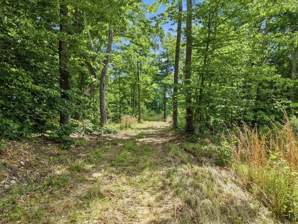 0 Backbone Road Sparta, TN 38583