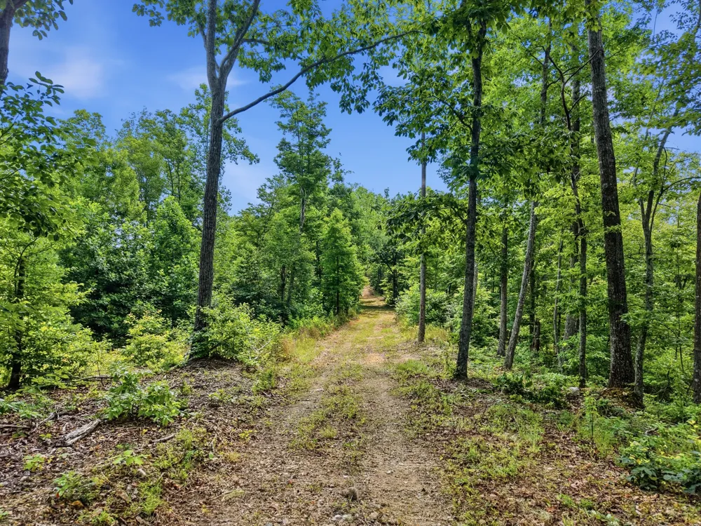 0 Backbone Road Sparta, TN 38583