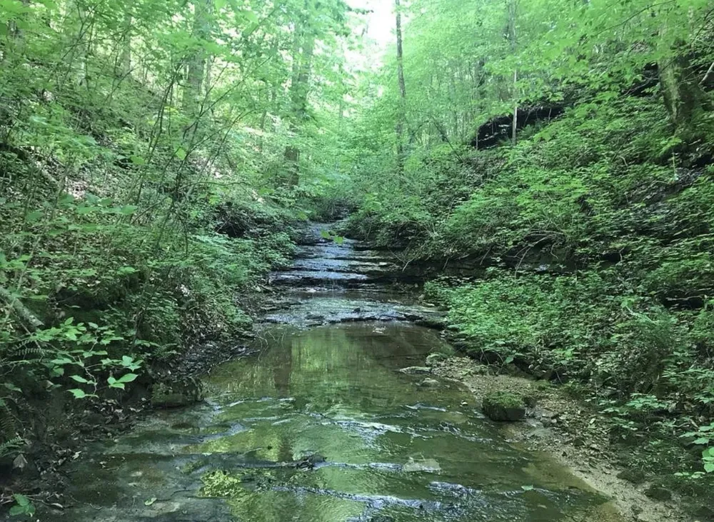 0 Backbone Road Sparta, TN 38583