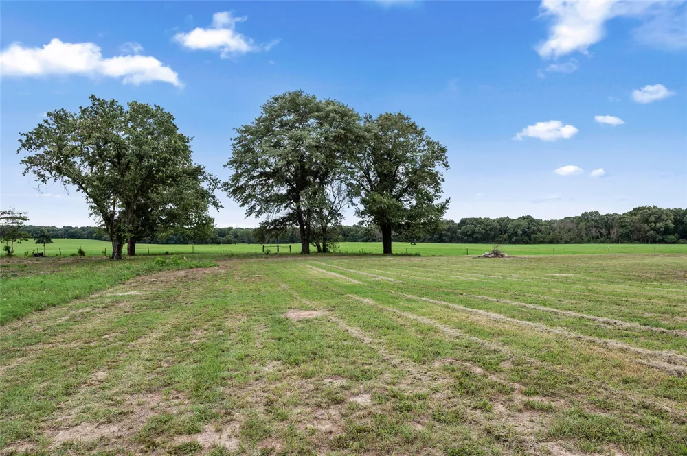 821 County road 3245 Quitman, TX 75783