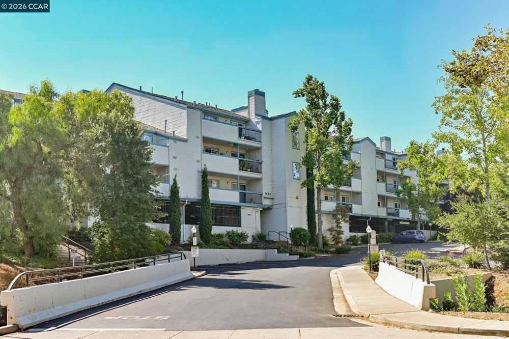 1410 Bel Air Dr #203 Concord, CA 94521