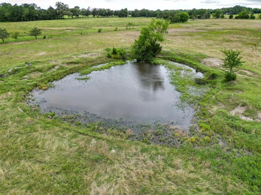 County Road 4878 Winnsboro, TX 75494