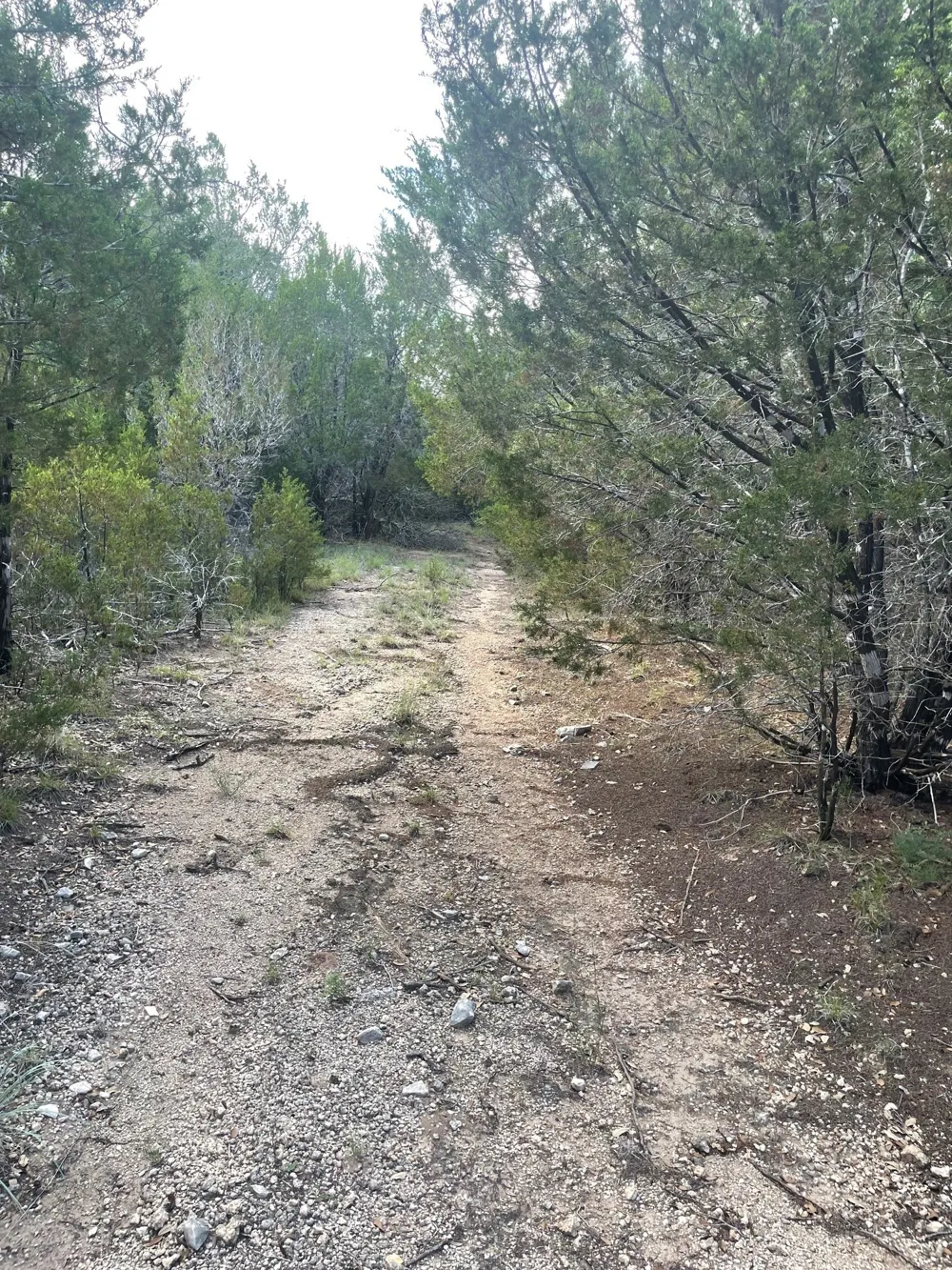 Ph 5 Evant, TX 76525
