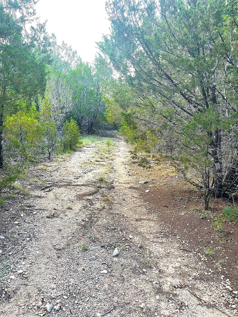 Ph 5 Evant, TX 76525