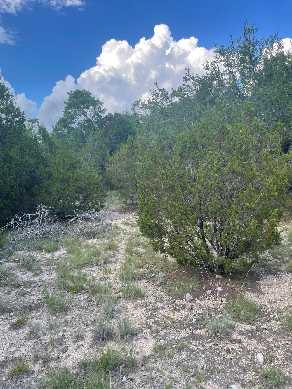 Ph 5 Evant, TX 76525
