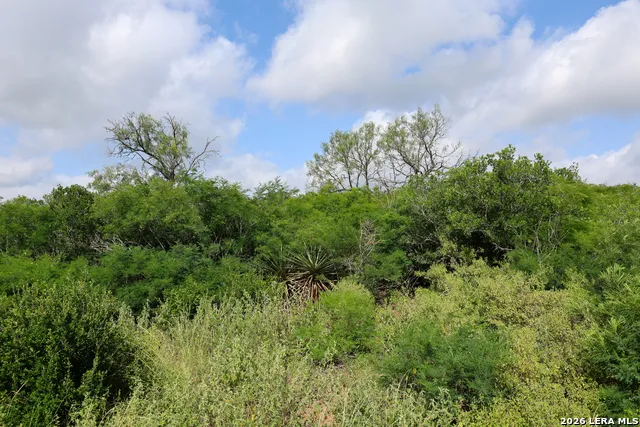 8711 County Road 1301 Moore, TX 78057