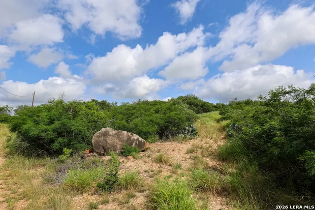 8711 County Road 1301 Moore, TX 78057