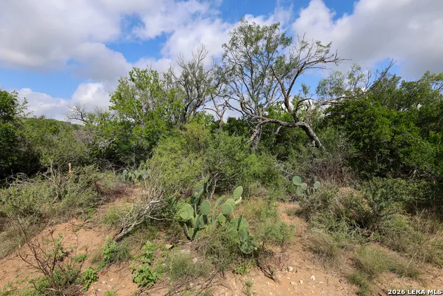 8711 County Road 1301 Moore, TX 78057