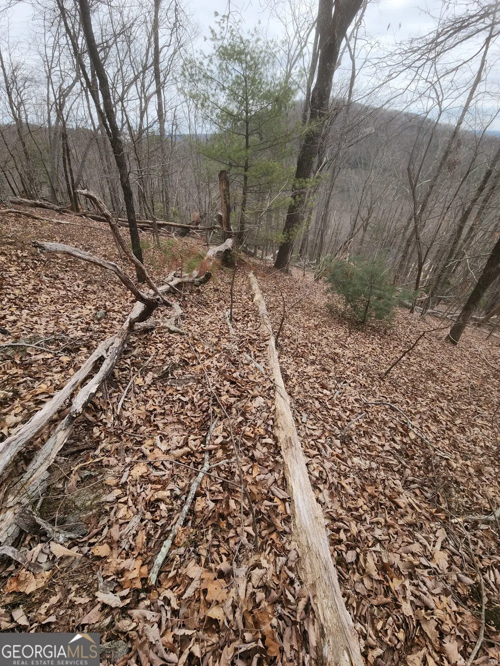 LOT #14 Little Eagle Mtn Clarkesville, GA 30523