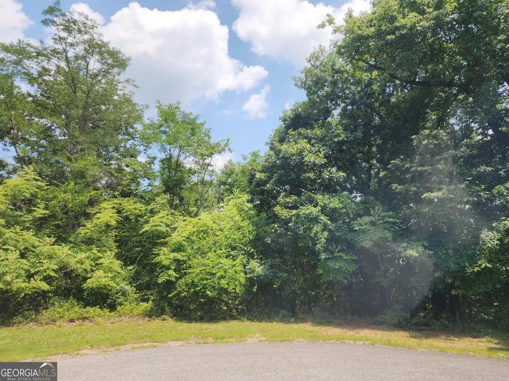 LOT #14 Little Eagle Mtn Clarkesville, GA 30523