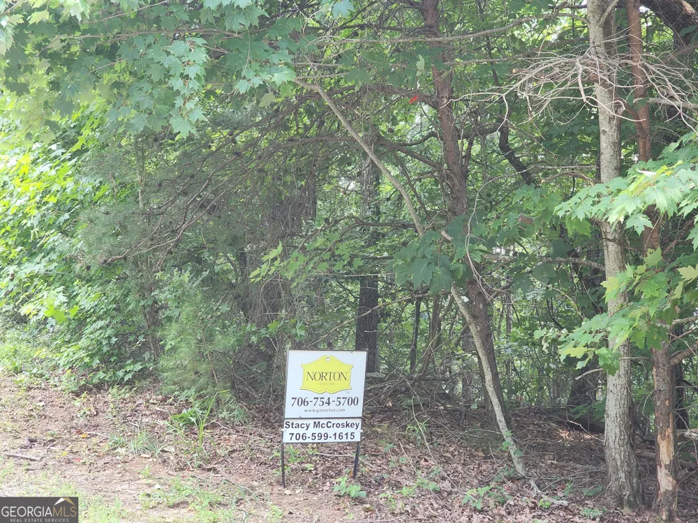 LOT #14 Little Eagle Mtn Clarkesville, GA 30523