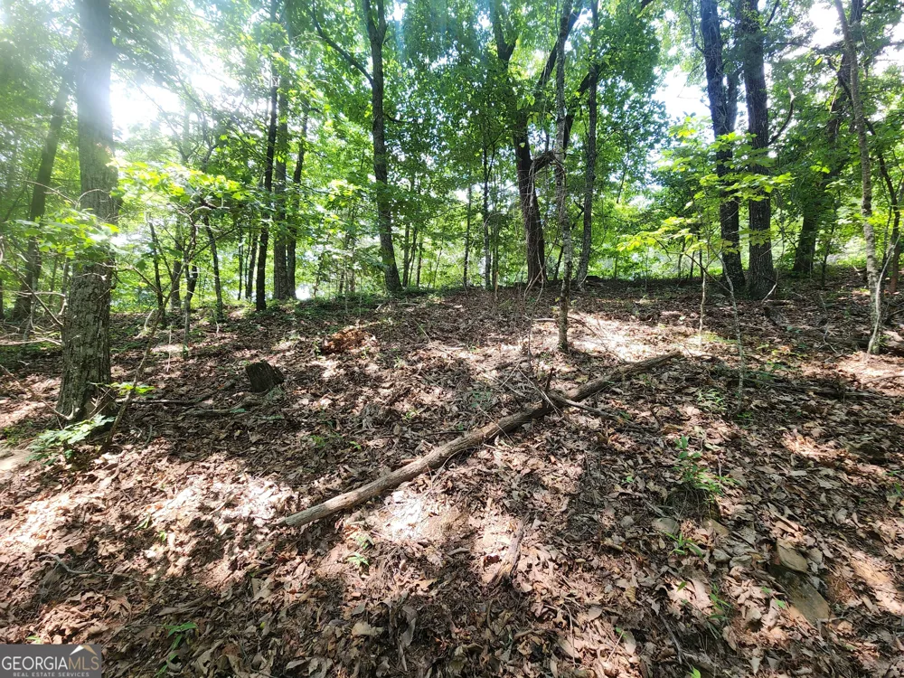 LOT #14 Little Eagle Mtn Clarkesville, GA 30523