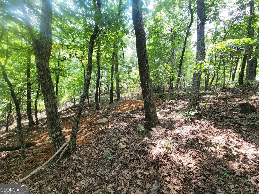 LOT #14 Little Eagle Mtn Clarkesville, GA 30523