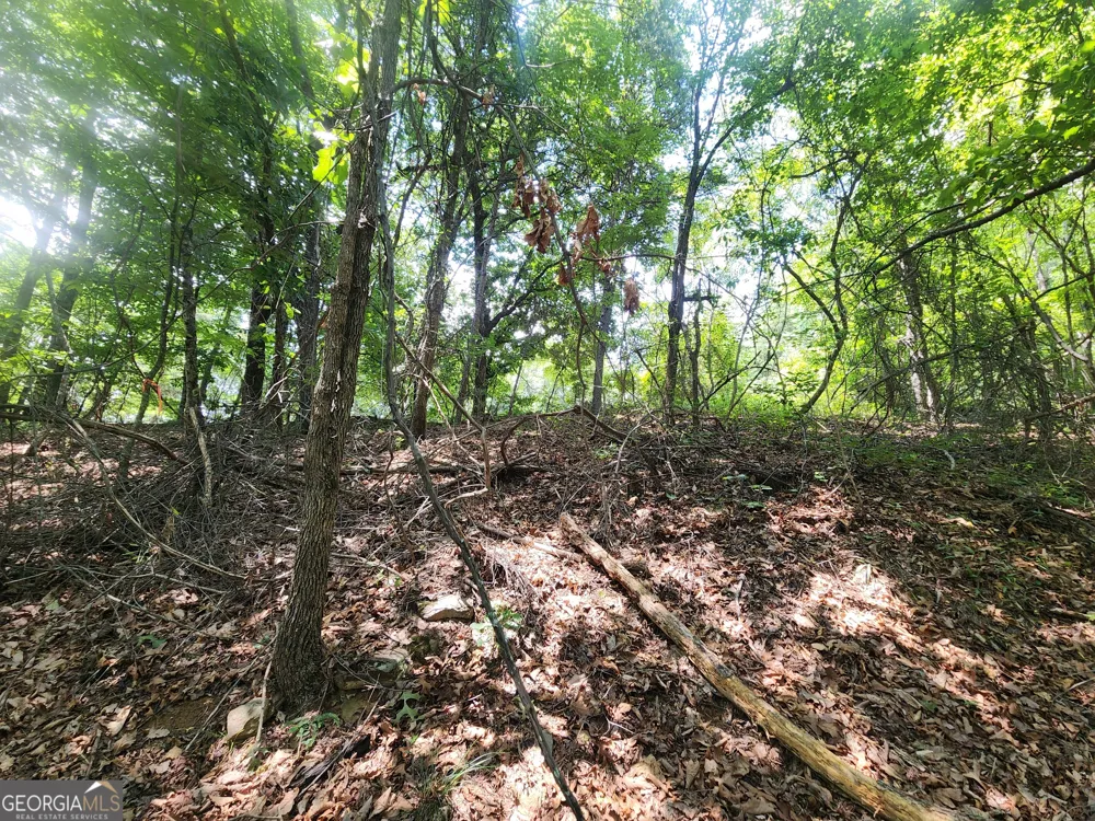 LOT #14 Little Eagle Mtn Clarkesville, GA 30523