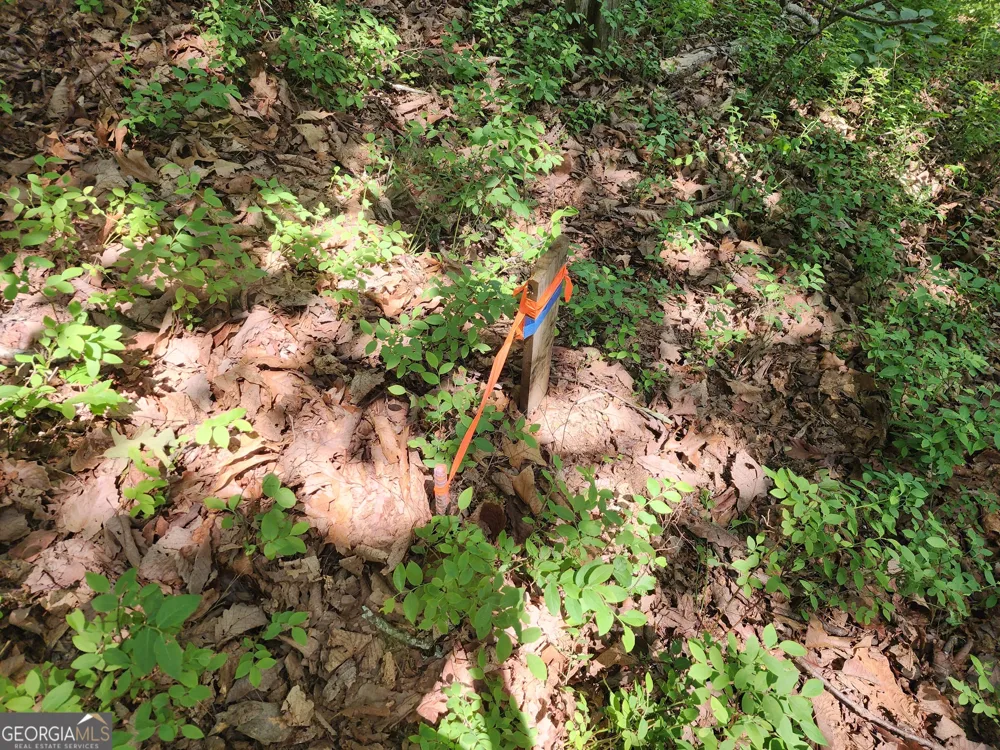 LOT #14 Little Eagle Mtn Clarkesville, GA 30523