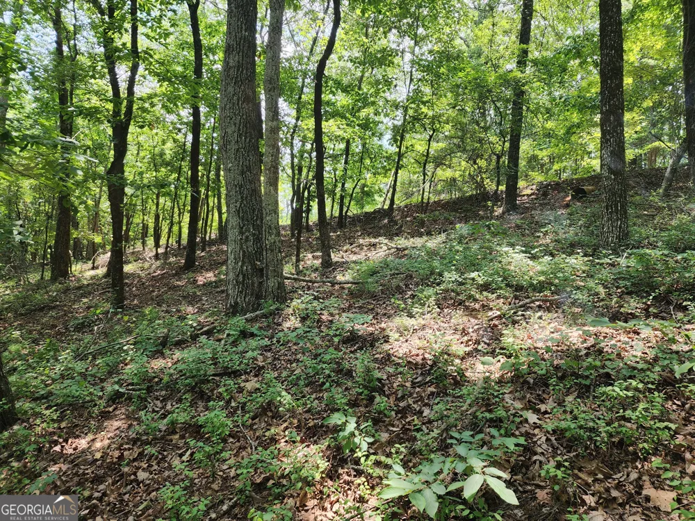 LOT #14 Little Eagle Mtn Clarkesville, GA 30523