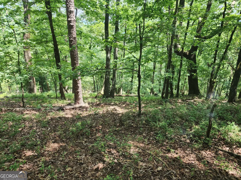 LOT #14 Little Eagle Mtn Clarkesville, GA 30523