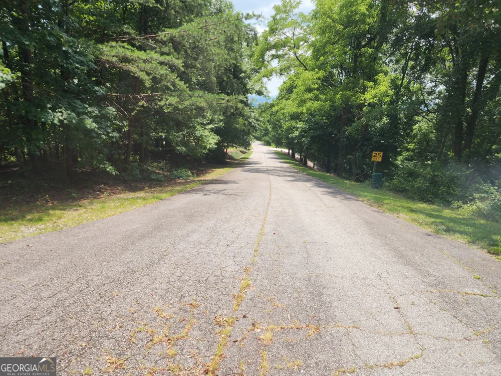 LOT #14 Little Eagle Mtn Clarkesville, GA 30523