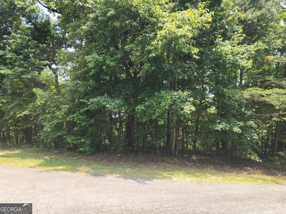 LOT #14 Little Eagle Mtn Clarkesville, GA 30523