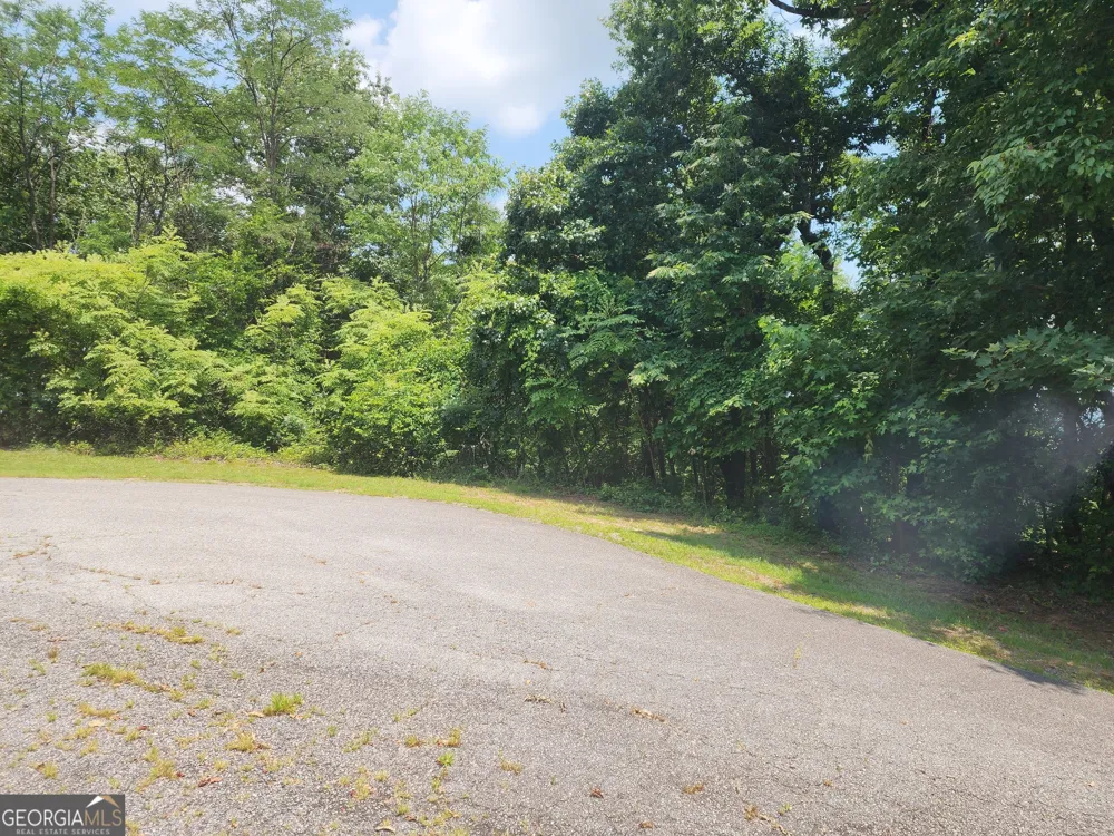 LOT #14 Little Eagle Mtn Clarkesville, GA 30523